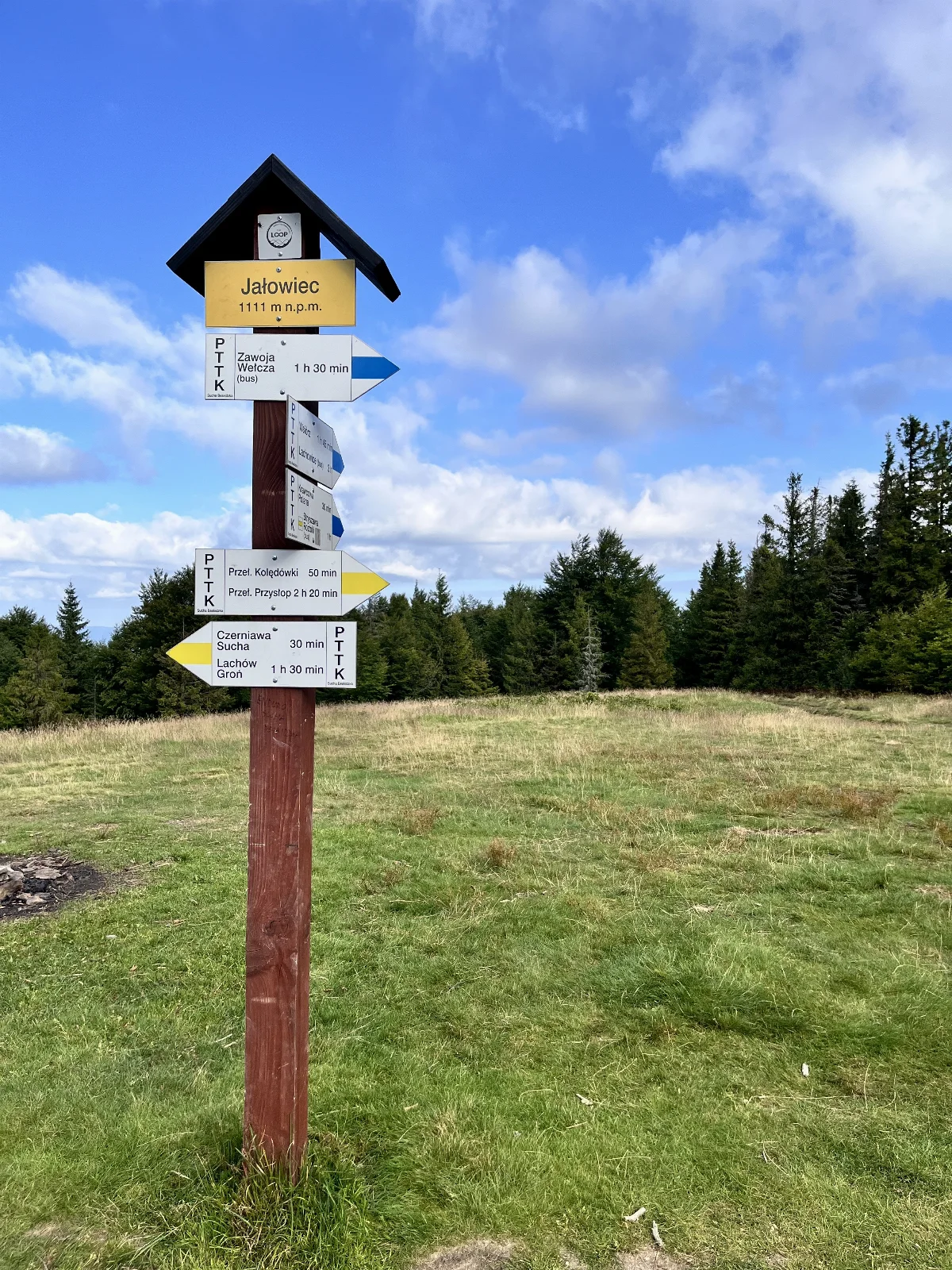 SOTA 2025 JAŁOWIEC