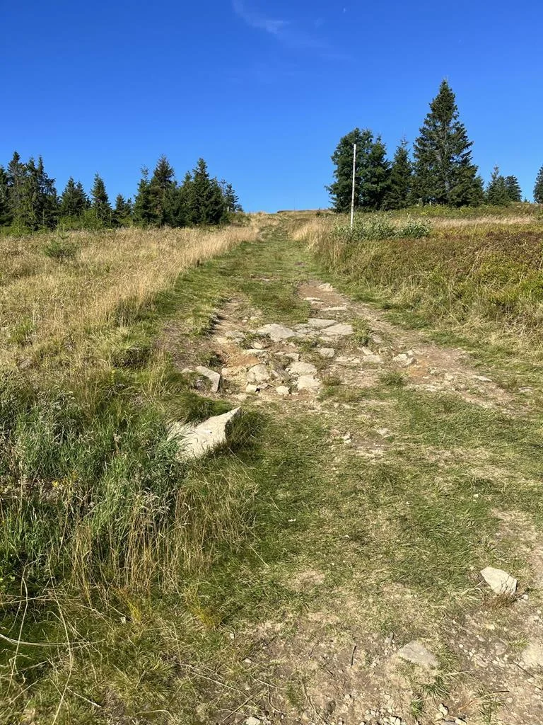 SOTA — Lipowska