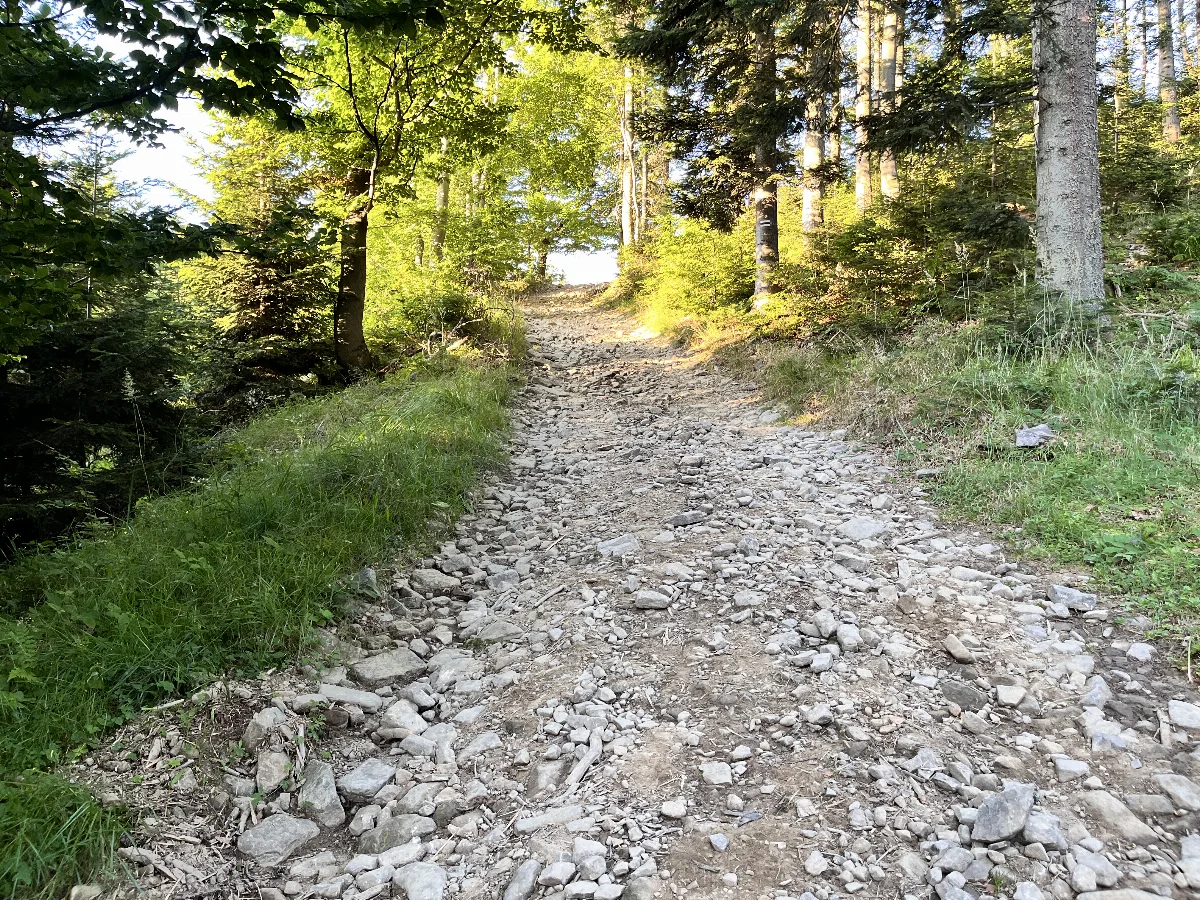 SOTA 2025 ROMANKA I LIPOWSKA