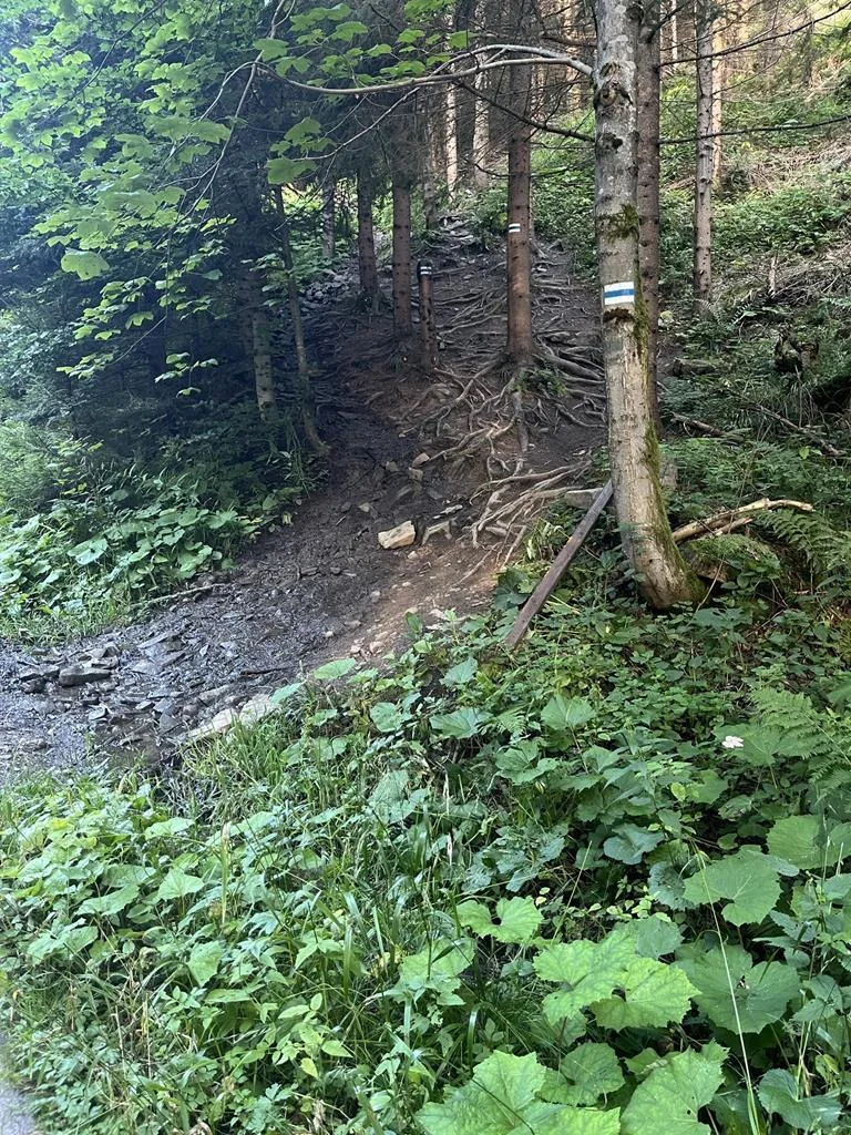 SOTA — Lipowska