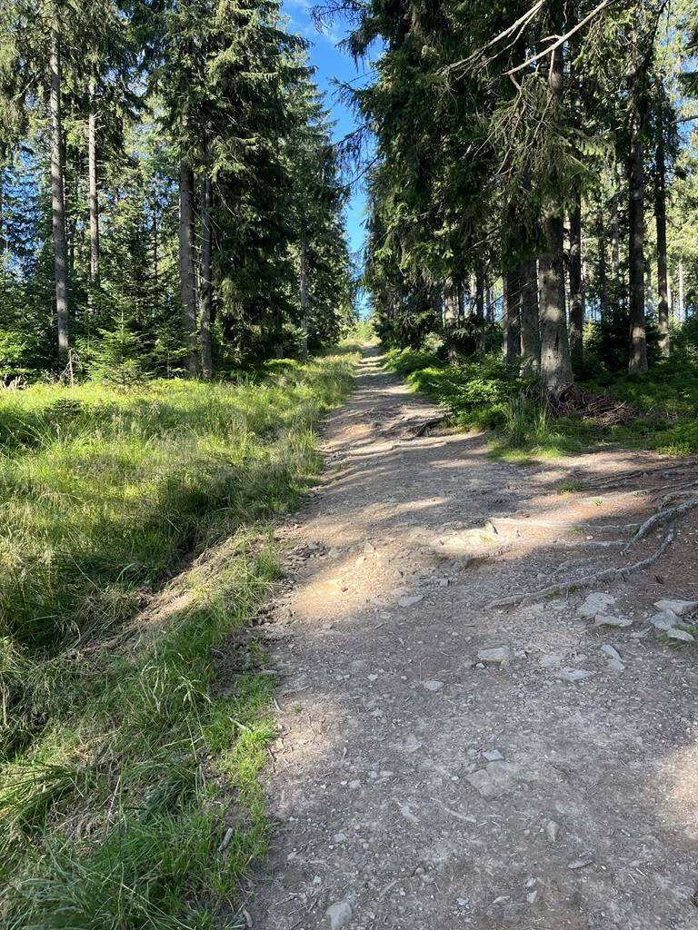 SOTA — Lipowska