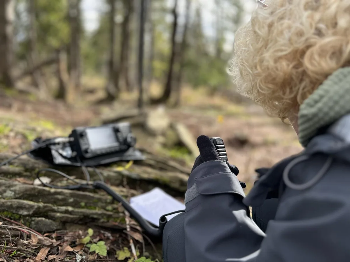 SOTA — Kudłoń
