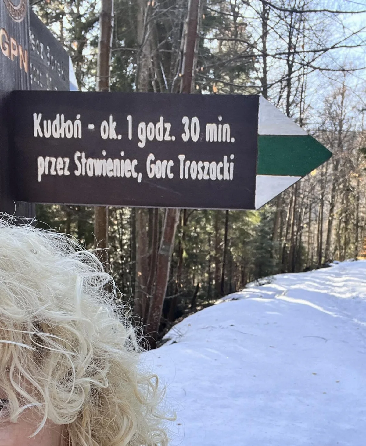 Kudłoń SP/BZ-006